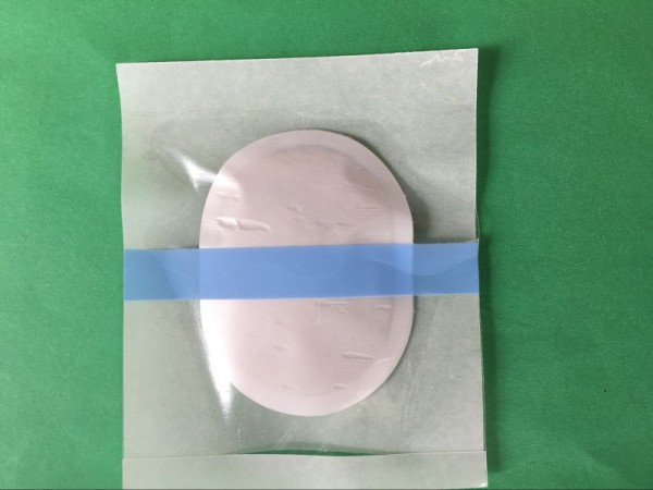 沙蒿子透皮貼