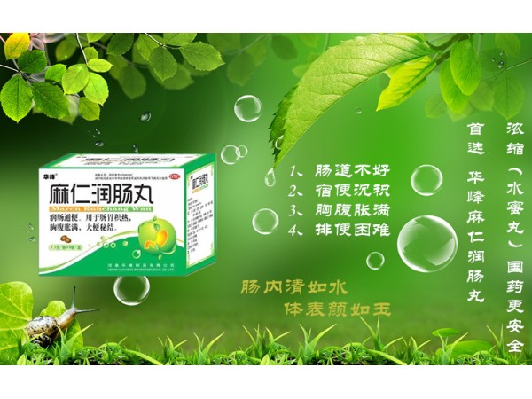 麻仁潤腸丸8袋