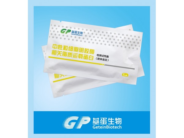NGAL檢測試劑盒