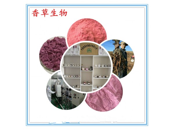 沙棘籽提取物10:1