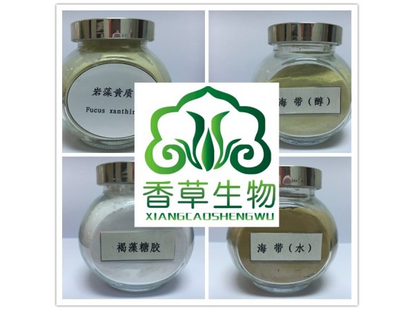 石見(jiàn)穿提取物