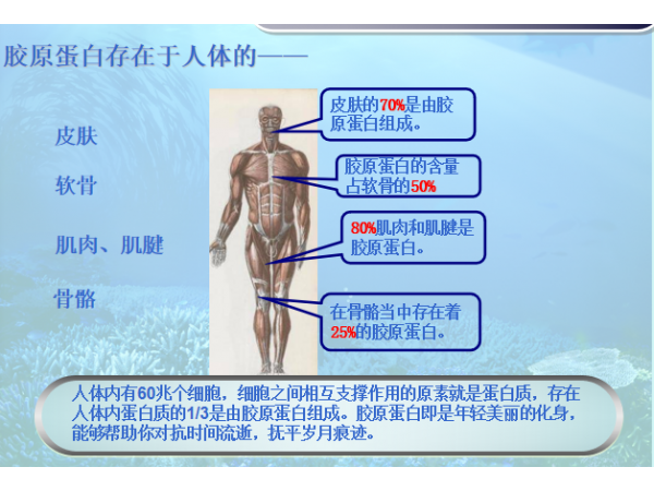 同富康膠原蛋白復合果蔬飲品OEM招商