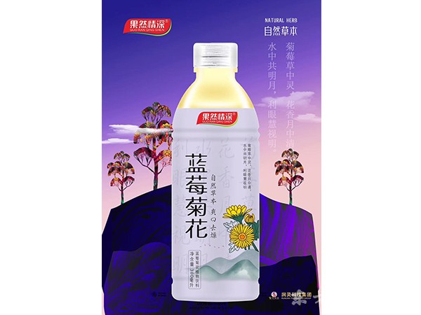 藍(lán)莓菊花植物飲料