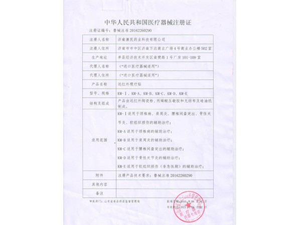 骨科 外用貼劑 遠紅外理療貼