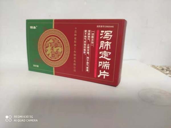瀉肺定喘片