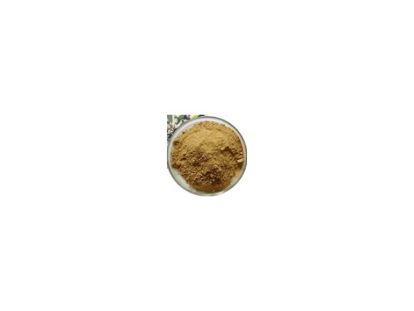 橄欖葉提取物 廠家現(xiàn)貨供應