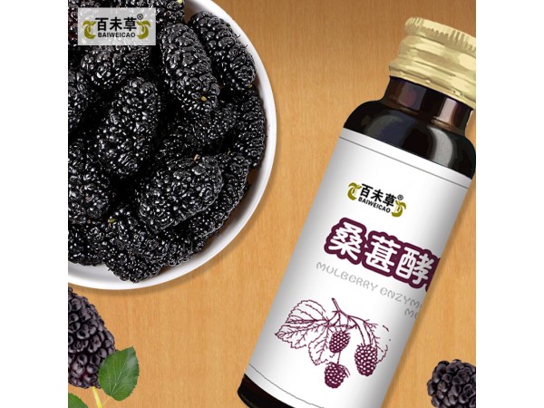 桑葚酵素植物飲品代加工山東慶葆堂