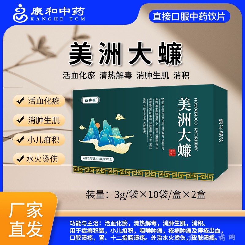 美洲大蠊